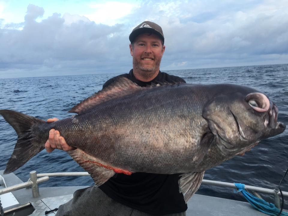 narooma fishing charter gallery 13