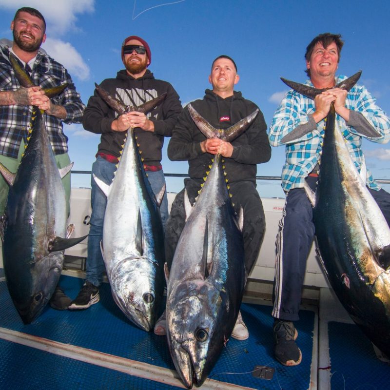 tuna fishing narooma