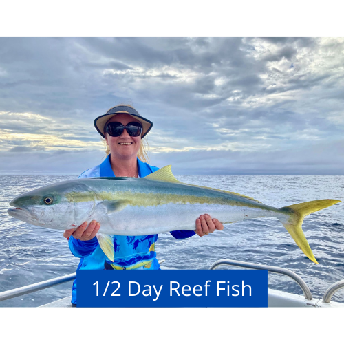 1/2 Day Reef Fishing charter