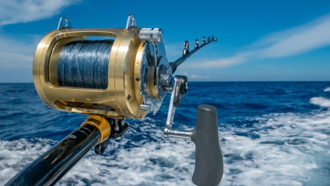Private Fishing Charters narooma