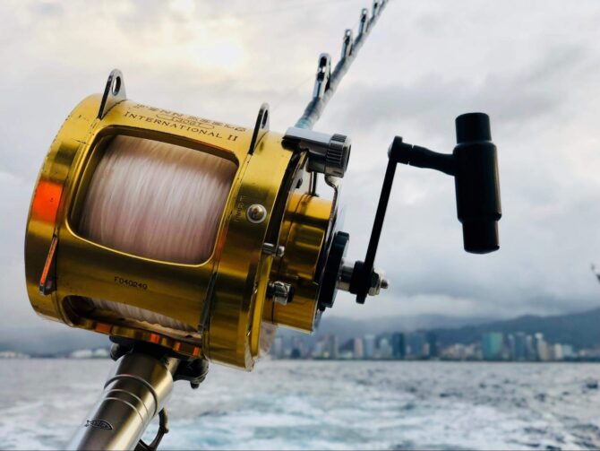 Bluefin Tuna rig