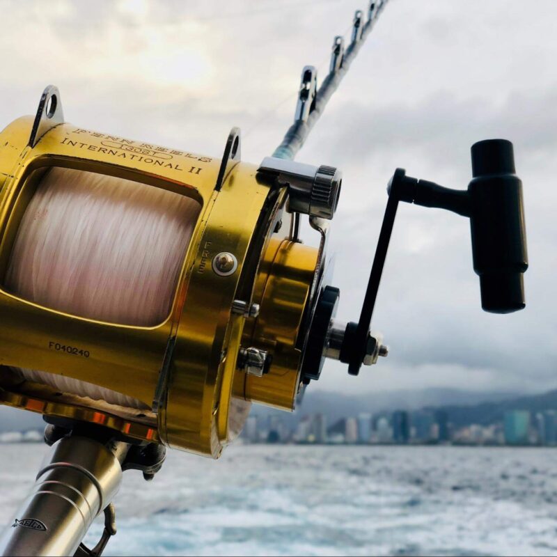 Bluefin Tuna rig