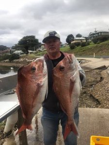 Snapper Narooma Charter Fish