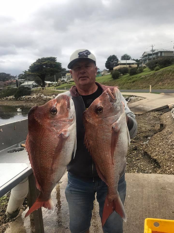 Snapper Narooma Charter Fish