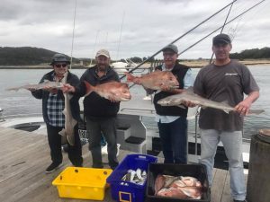 narooma fishing charter gallery 6