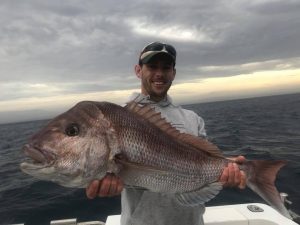 snapper in narooma