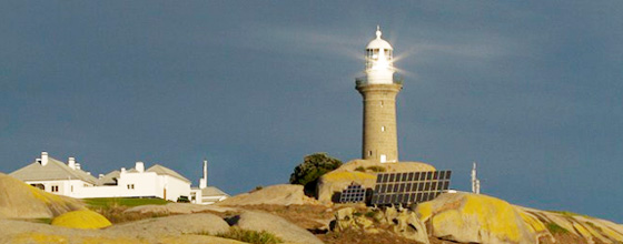 montague island tour